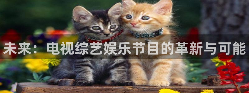 辉达平台vip麻将胡了：未来：电视综艺娱乐节目的革新与可能