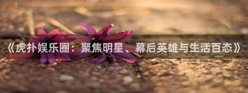 辉达平台：《虎扑娱乐圈：聚焦明星、幕后英雄与生活百态》