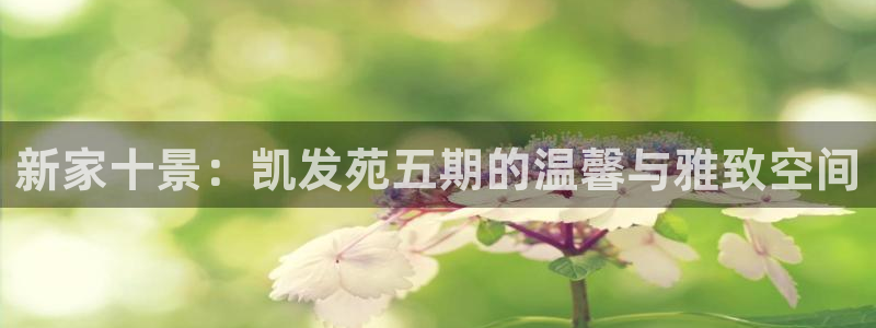 辉达平台股份：新家十景：凯发苑五期的温馨与雅致空间