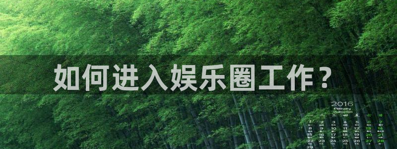 辉达平台体育免费注册入口：如何进入娱乐圈工作？