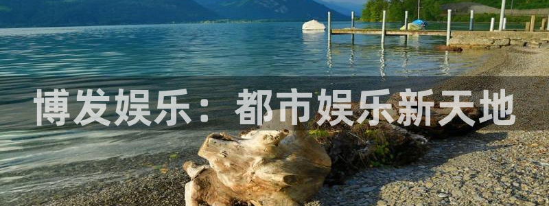 辉达平台平台总代理：博发娱乐：都市娱乐新天地