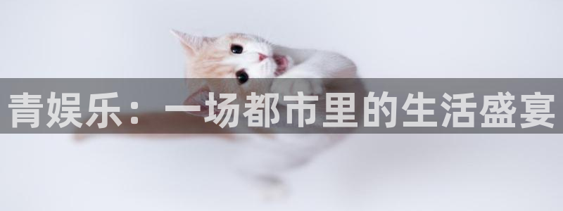 辉达平台pg电子游戏在线玩：青娱乐：一场都市里的生活盛宴