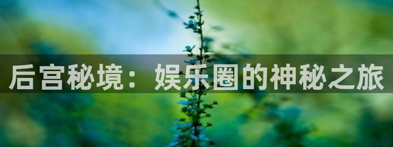 辉达平台：后宫秘境：娱乐圈的神秘之旅