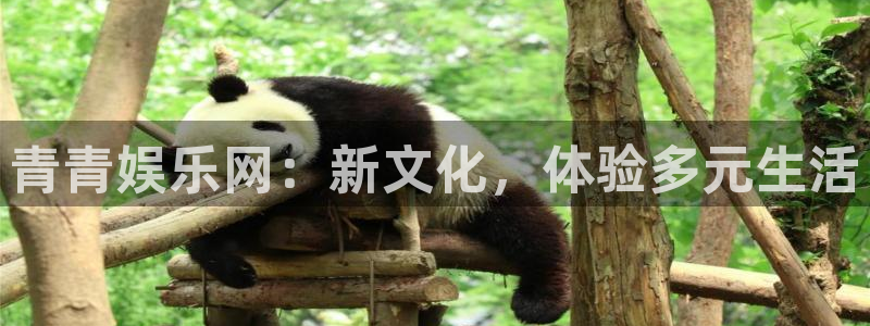 辉达平台.ccm：青青娱乐网：新文化，体验多元生活