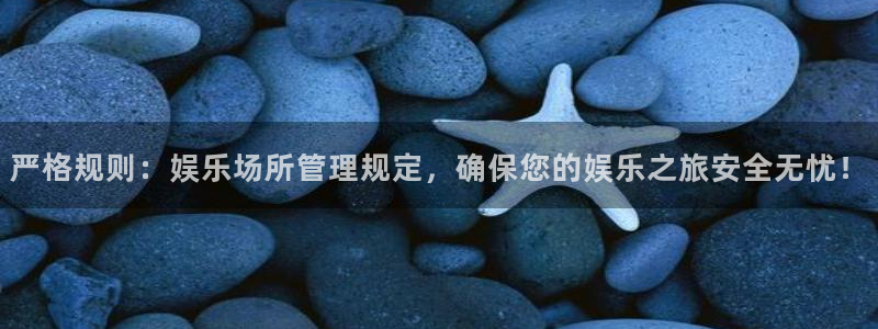 辉达平台体育平台登录入口：严格规则：娱乐场所管理规定，确保您的娱乐之旅安全无忧！
