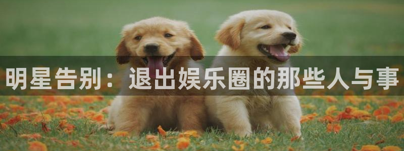 辉达平台3：明星告别：退出娱乐圈的那些人与事