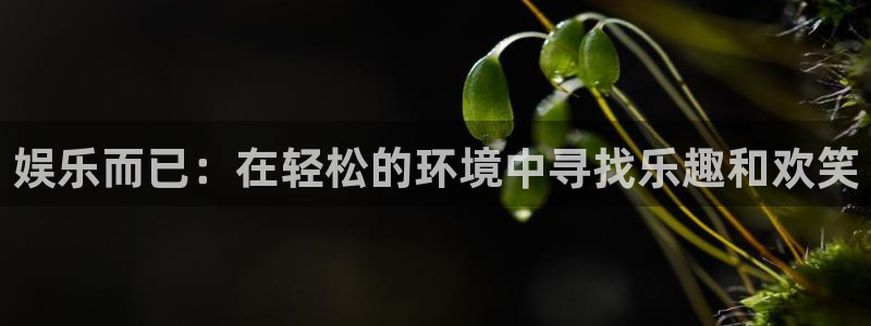 辉达平台体育凯捷平台代理：娱乐而已：在轻松的环境中寻找乐趣和欢笑