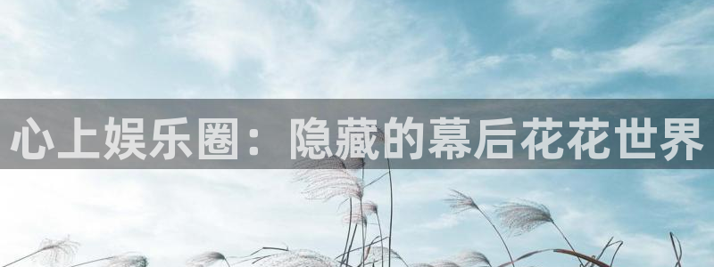 辉达平台体育凯捷平台招商：心上娱乐圈：隐藏的幕后花花世界