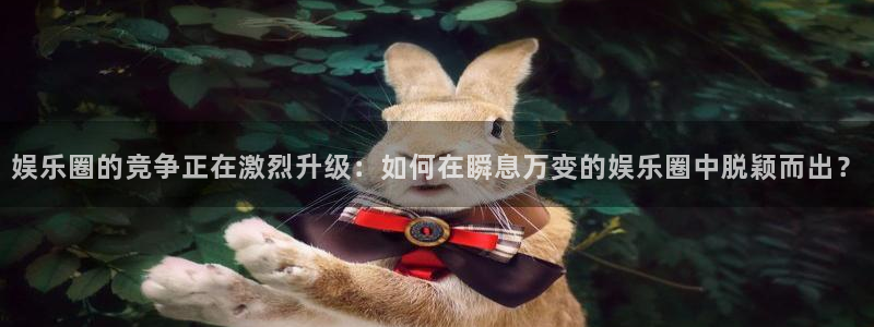 辉达平台app新版上线体验.游戏更新入口.中国：娱乐圈的竞争正在激烈升级：如何在