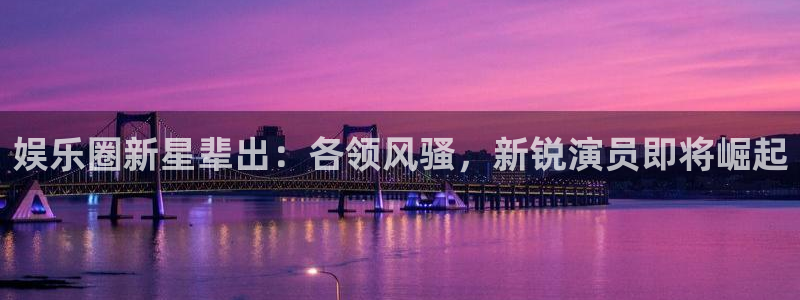 辉达平台注册网页版：娱乐圈新星辈出：各领风骚，新锐演员即将崛起