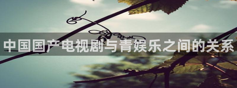 辉达平台包怎么样：中国国产电视剧与青娱乐之间的关系