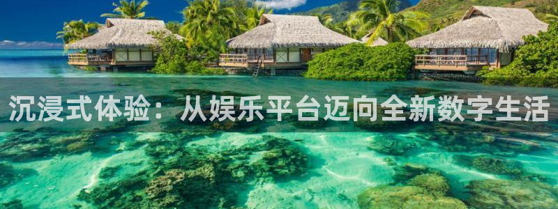 辉达平台体育平台开号链接：沉浸式体验：从娱乐平台迈向全新数字生活