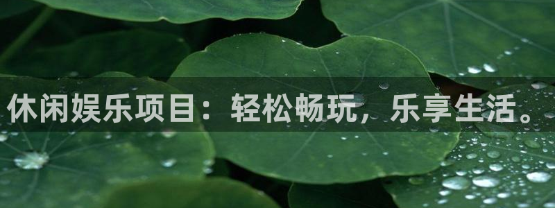 辉达平台体育app下载：休闲娱乐项目：轻松畅玩，乐享生活。