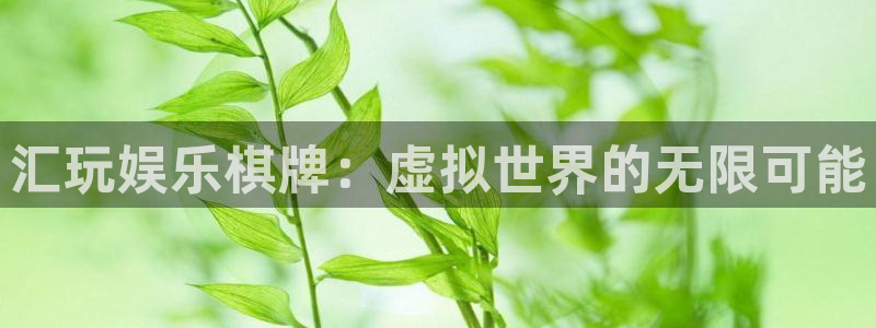 辉达平台登录网：汇玩娱乐棋牌：虚拟世界的无限可能