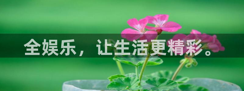辉达平台体育和杏耀是哪个公司的：全娱乐，让生活更精彩。
