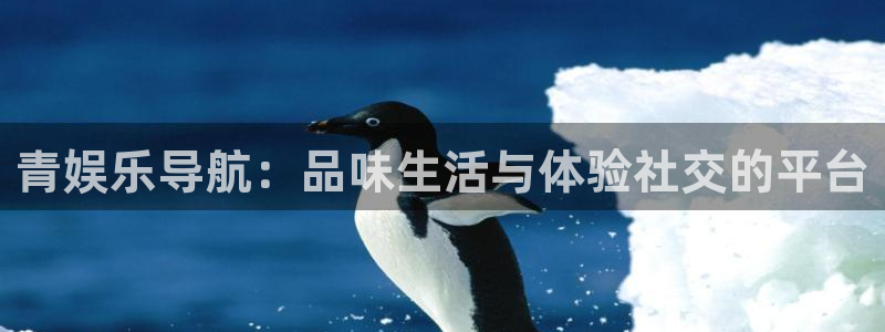 辉达平台5注册：青娱乐导航：品味生活与体验社交的平台
