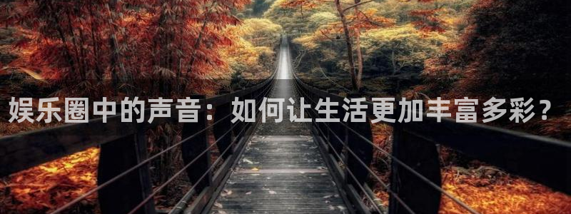 辉达平台平台：娱乐圈中的声音：如何让生活更加丰富多彩？