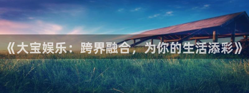 辉达平台集团官网：《大宝娱乐：跨界融合，为你的生活添彩》