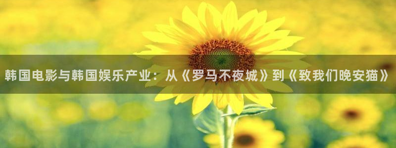 辉达平台游戏试玩：韩国电影与韩国娱乐产业：从《罗马不夜城》到《致我们晚安猫》