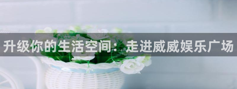 辉达平台下载并安装：升级你的生活空间：走进威威娱乐广场