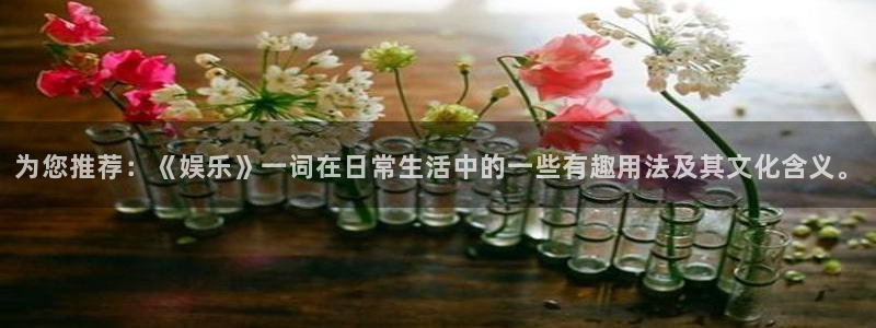 辉达平台体育凯捷平台注册：为您推荐：《娱乐》一词在日常生活中的一些有趣用法及其文