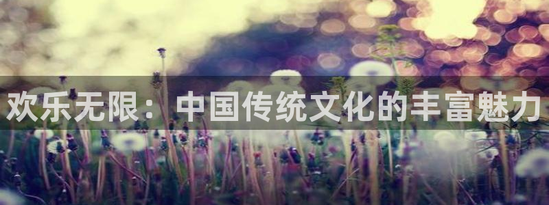 辉达平台平台：欢乐无限：中国传统文化的丰富魅力