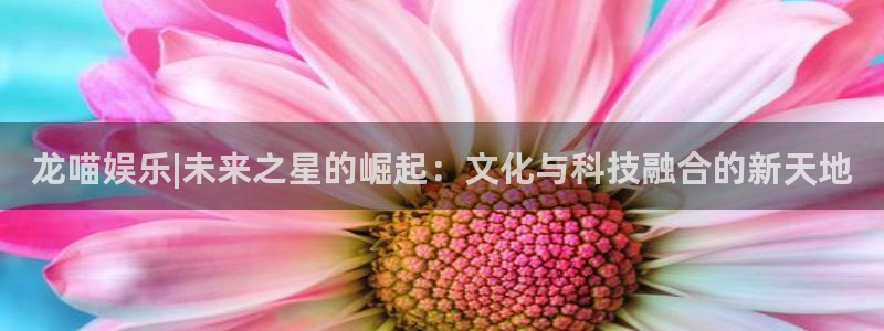 辉达平台体育注册代理：龙喵娱乐|未来之星的崛起：文化与科技融合的新天地