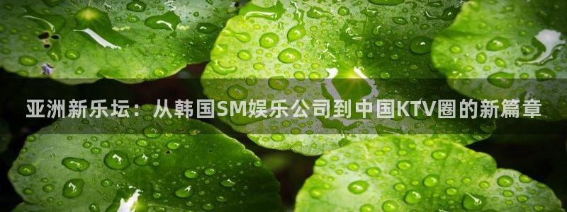 辉达平台包怎么样：亚洲新乐坛：从韩国SM娱乐公司到中国KTV圈的新篇章