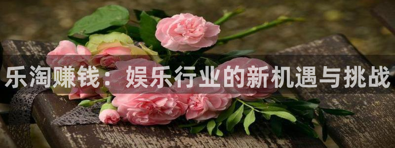 辉达平台f凯捷平台在线注册：乐淘赚钱：娱乐行业的新机遇与挑战