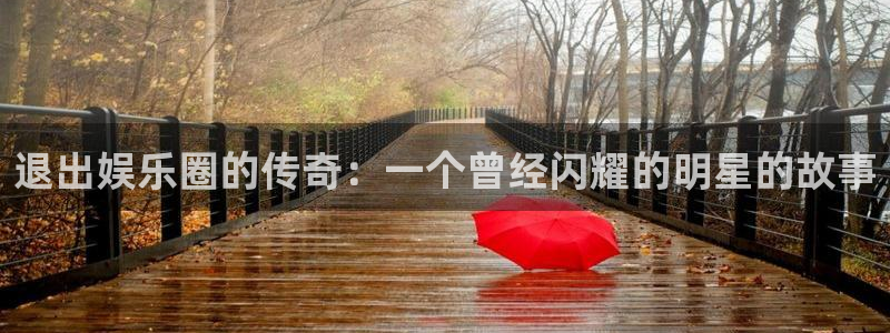 福建辉达平台机电股份公司：退出娱乐圈的传奇：一个曾经闪耀的明星的故事