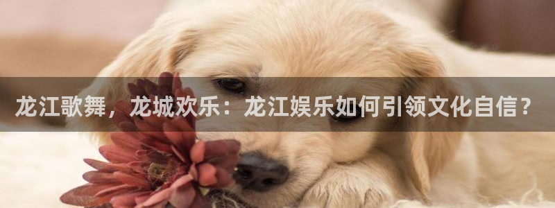 辉达平台主管：龙江歌舞，龙城欢乐：龙江娱乐如何引领文化自信？