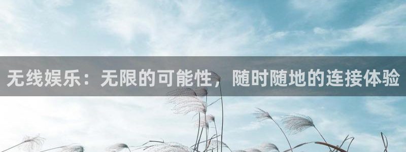 辉达平台注册链接入口：无线娱乐：无限的可能性，随时随地的连接体验