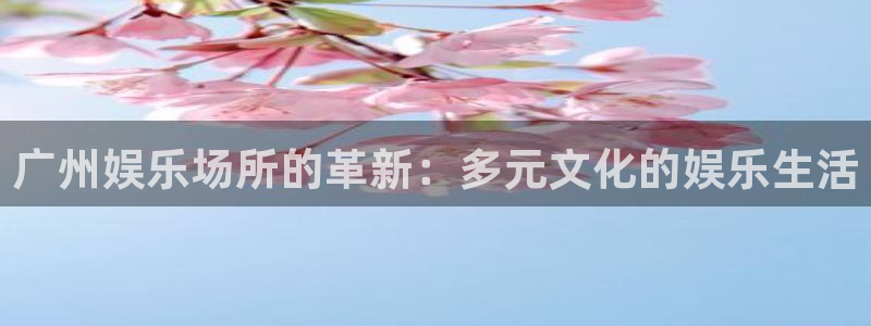 辉达平台体育官网注册：广州娱乐场所的革新：多元文化的娱乐生活