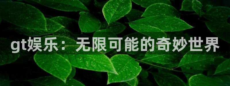 辉达平台3官网登录：gt娱乐：无限可能的奇妙世界