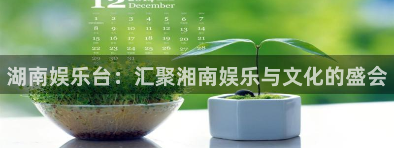 辉达平台4平台注册：湖南娱乐台：汇聚湘南娱乐与文化的盛会
