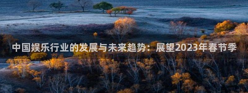 辉达平台官网版下载：中国娱乐行业的发展与未来趋势：展望2023年春节季