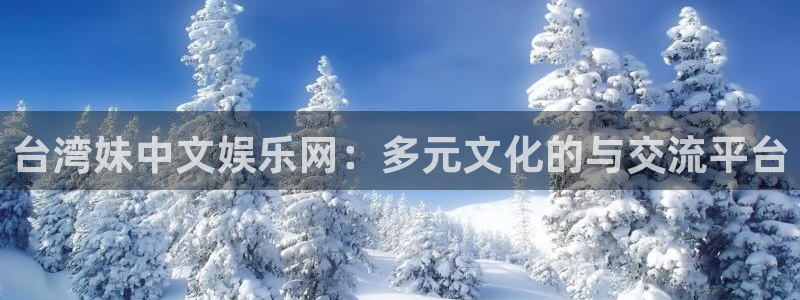 辉达平台平台在线开户：台湾妹中文娱乐网：多元文化的与交流平台
