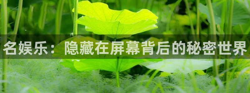辉达平台平台官方网站：名娱乐：隐藏在屏幕背后的秘密世界