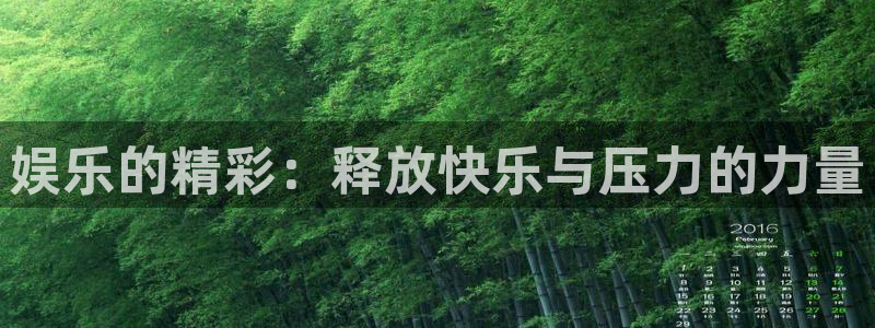 辉达平台3官网登录：娱乐的精彩：释放快乐与压力的力量