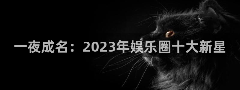 辉达平台平台管网入口