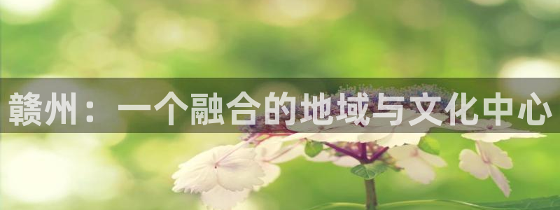 辉达平台2登录入口：赣州：一个融合的地域与文化中心