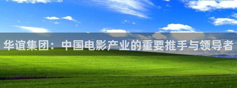 辉达平台股份