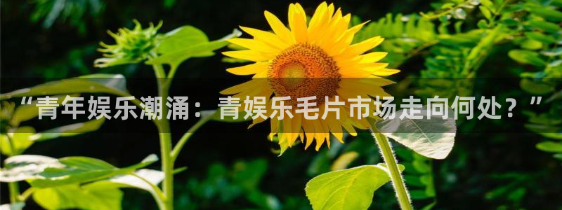 pg辉达平台平台下载入口