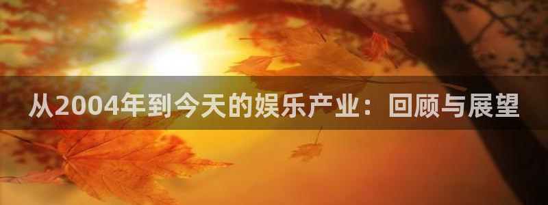 辉达平台平台在线注册：从2004年到今天的娱乐产业：回顾与展望