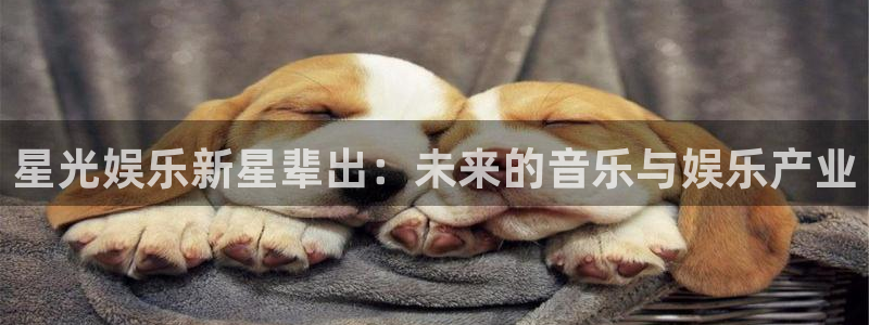 辉达平台代理：星光娱乐新星辈出：未来的音乐与娱乐产业