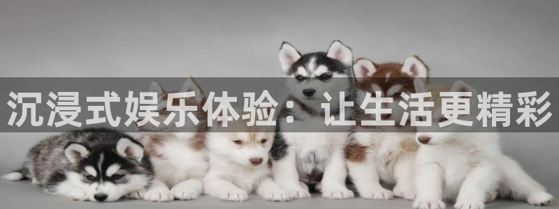 辉达平台账号注册入口：沉浸式娱乐体验：让生活更精彩